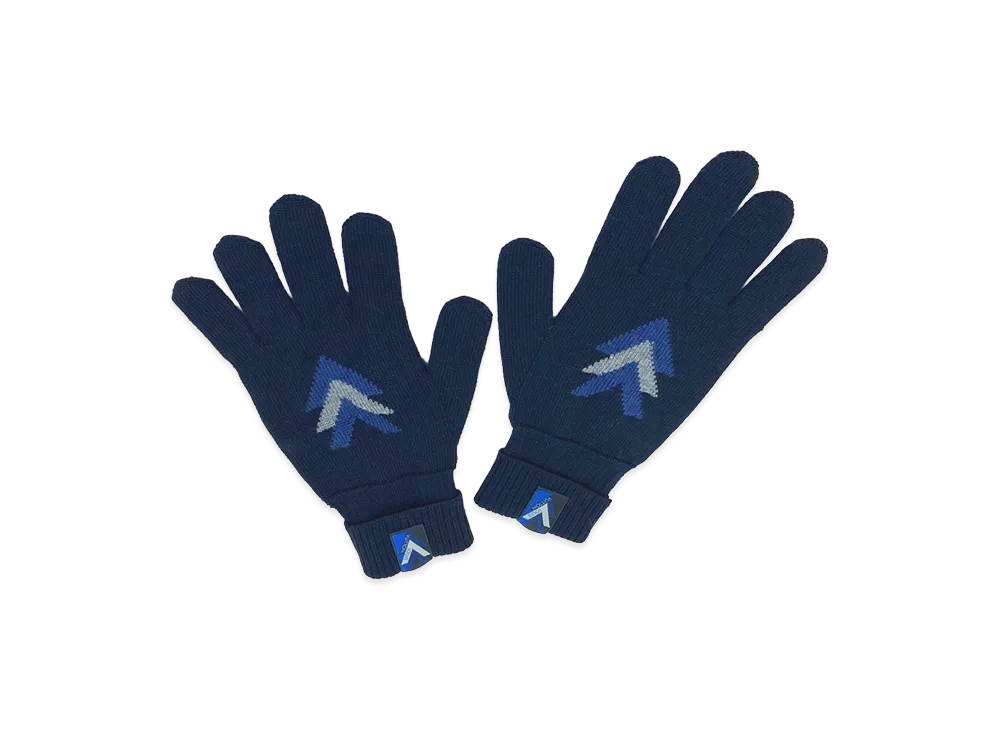 Louis Vuitton Gon Triple V Gloves "Navy"