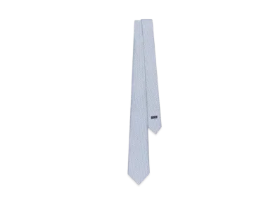 Dior Oblique Tie Silk "Light Blue/Blue"