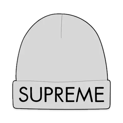 Supreme Capital Beanie "Ash Grey"