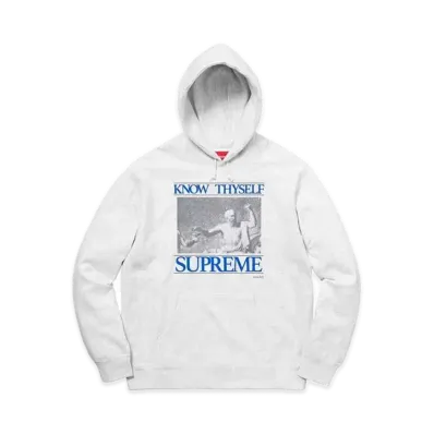 Supreme Know Thyself Hooded Sweatshirt "Ash Grey"