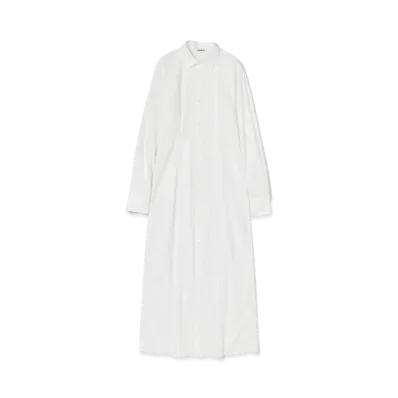 AURALEE High Count Finx Ox Shirt Dress "White"