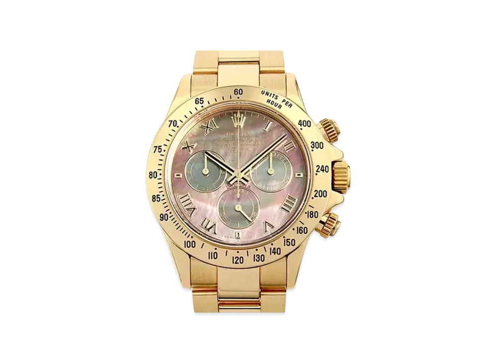 ROLEX Cosmograph Daytona "Black Shell/Yellow Gold"