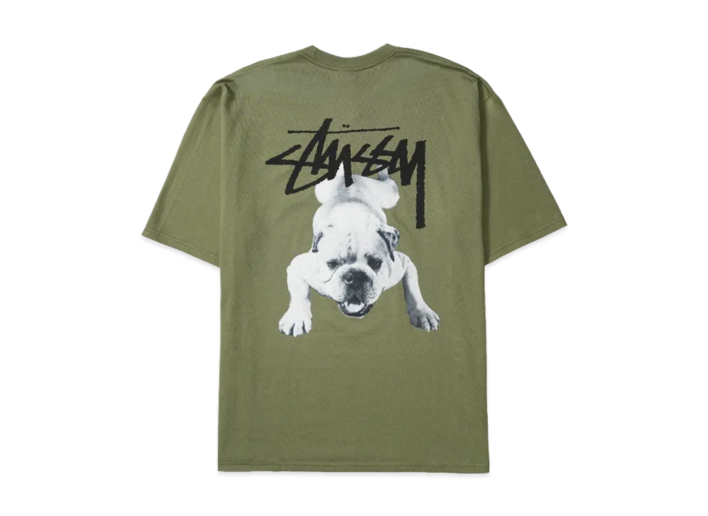 Stussy Stock Dog Tee "Olive"