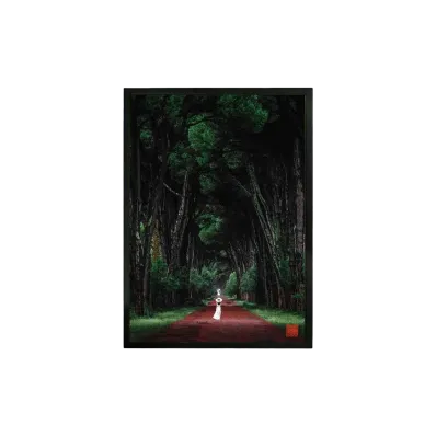 RK x UMBRA A2 Forrest of Pisa