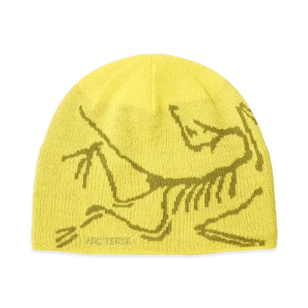 ARC'TERYX BEAMS Exclusive Bird Head Toque "Euphoria/Olive Moss" X000006756