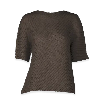 ISSEY MIYAKE Sheer Linen Like Pleats "NasuBrown"