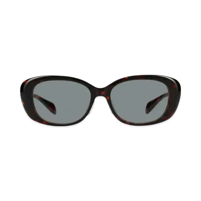 Zoff x STUDIO SEVEN ZN251G10-49A1 "Brown/Demi Pattern"