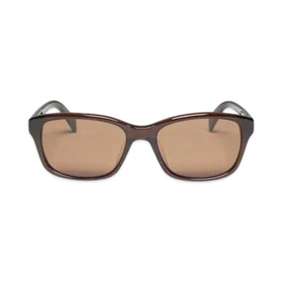 Stussy Alan Sunglasses "Brown/Brown Lens"