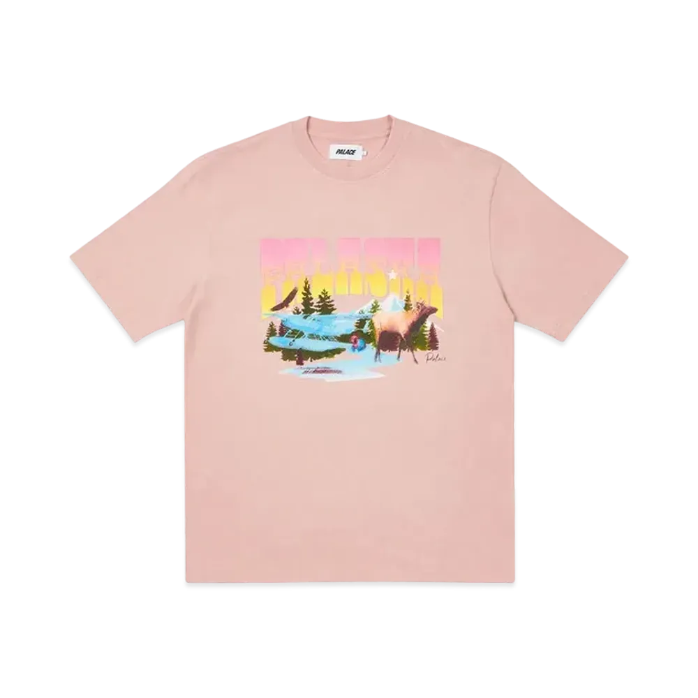PALACE PALASKA DYE T-SHIRT "Pink"
