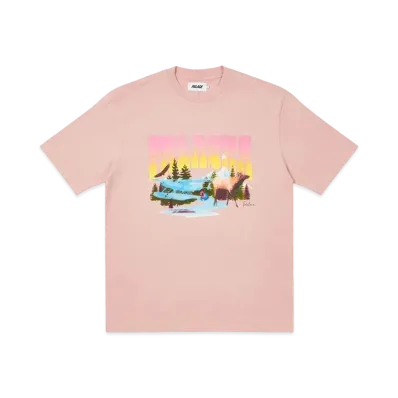 PALACE PALASKA DYE T-SHIRT "Pink"