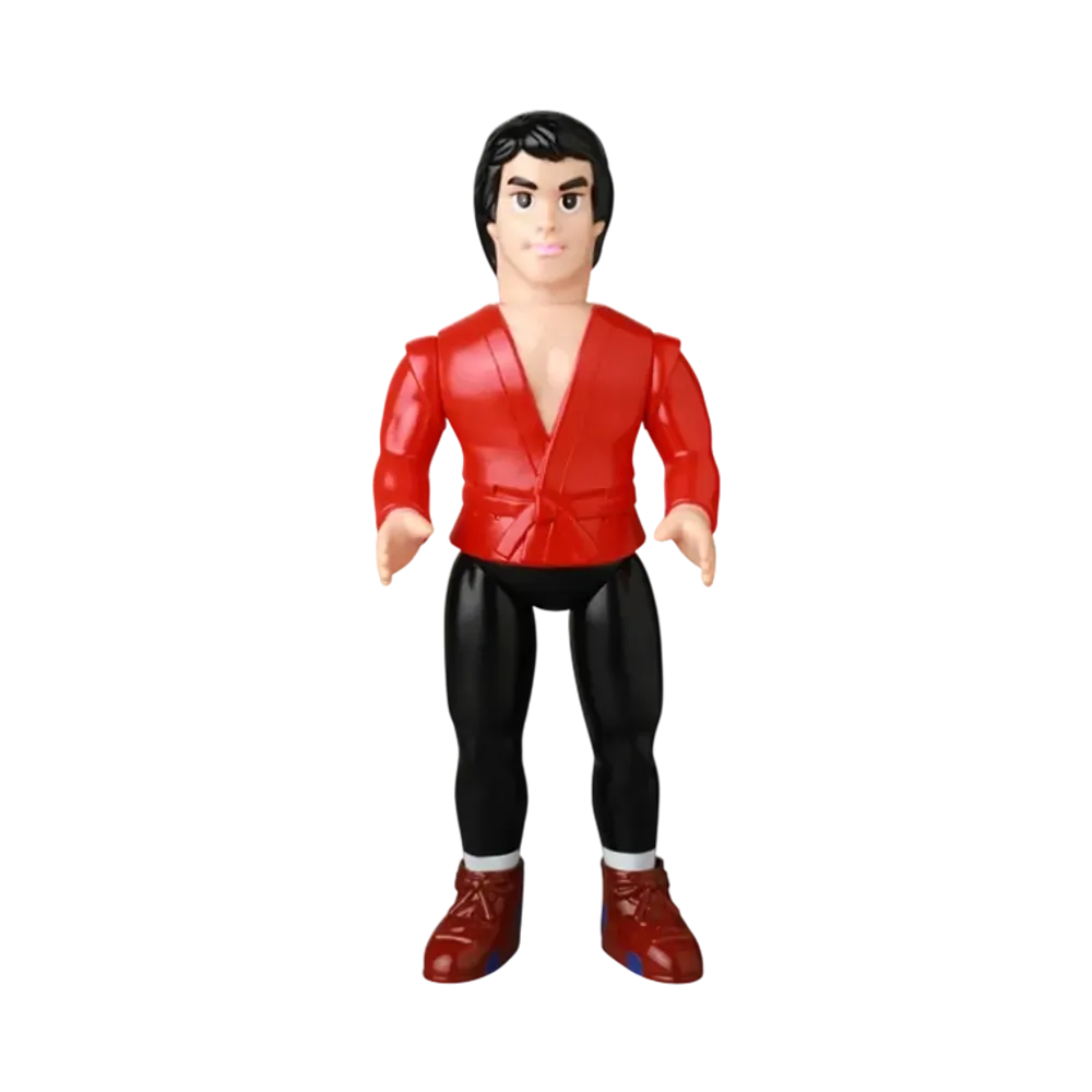 MEDICOM TOY "Sofvi Fighting Series" Satoru Sayama (Sambo Technical Book Edition)