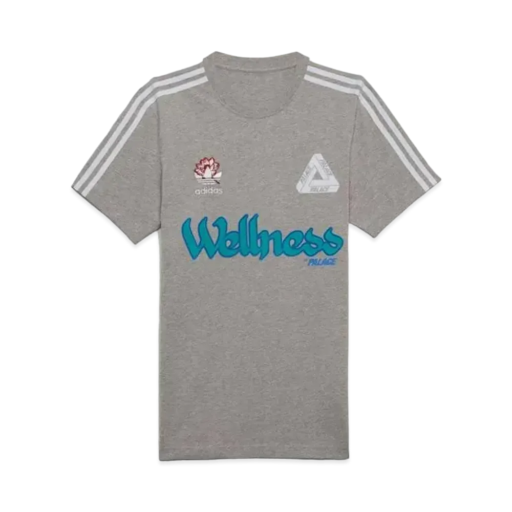 PALACE x ADIDAS GRAPHIC T-SHIRT "Grey"