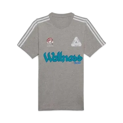 PALACE x ADIDAS GRAPHIC T-SHIRT "Grey"
