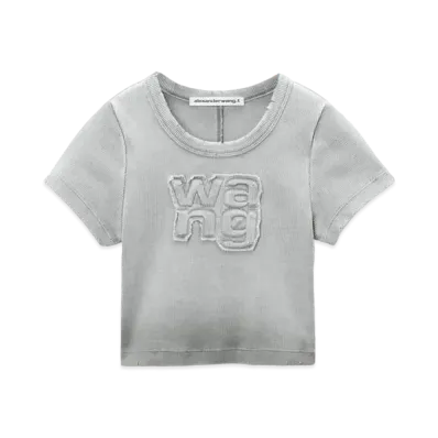 Alexander Wang Logo Distressed Baby T-shirt "Washed Steel"