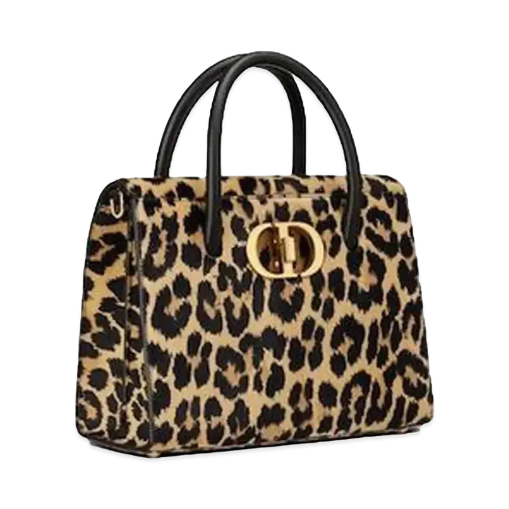 Dior Medium St Honore Tote "Beige"