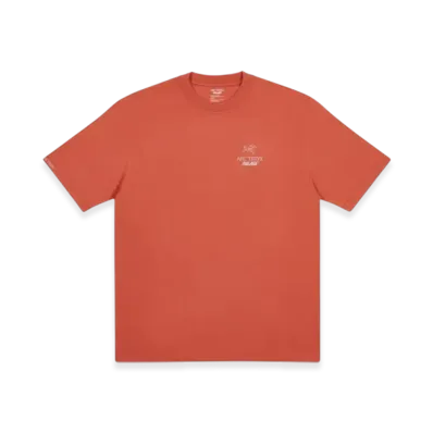 PALACE x Arc'Teryx T-Shirt "Ochre"