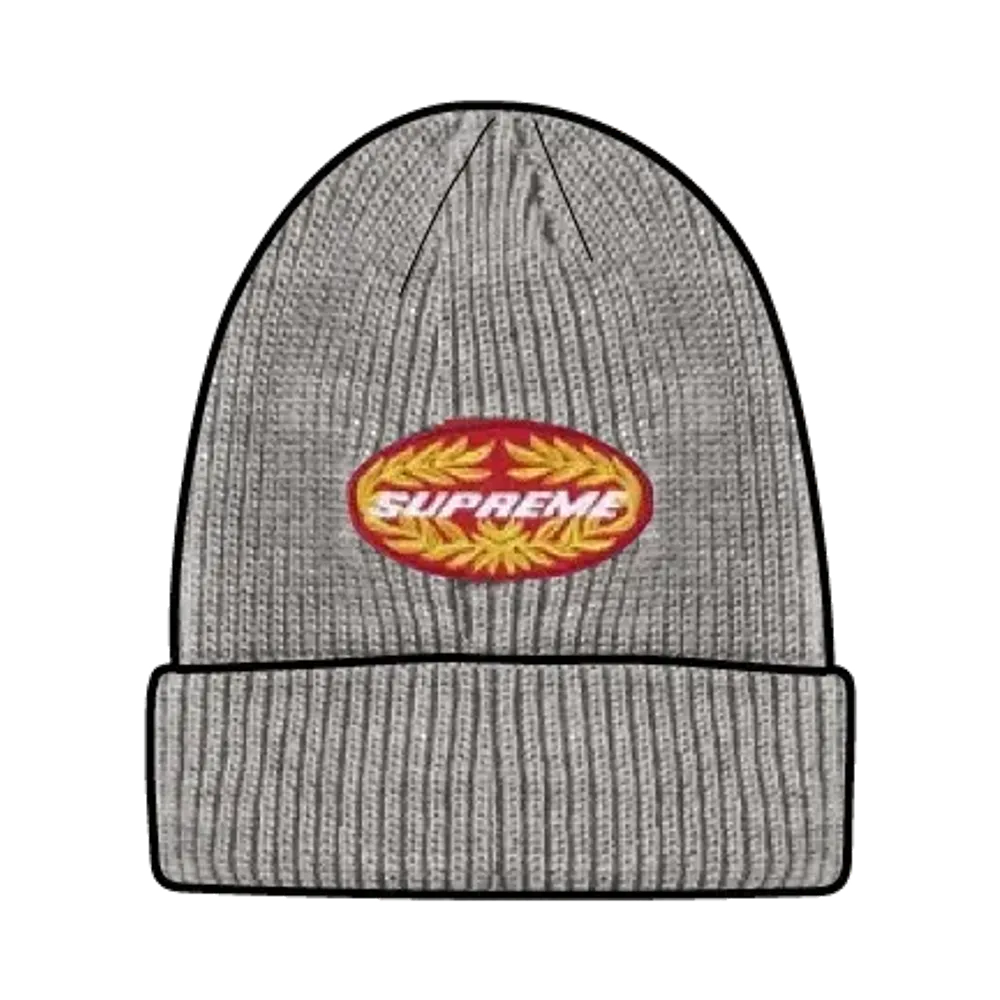 Supreme Terminal Beanie "Grey"