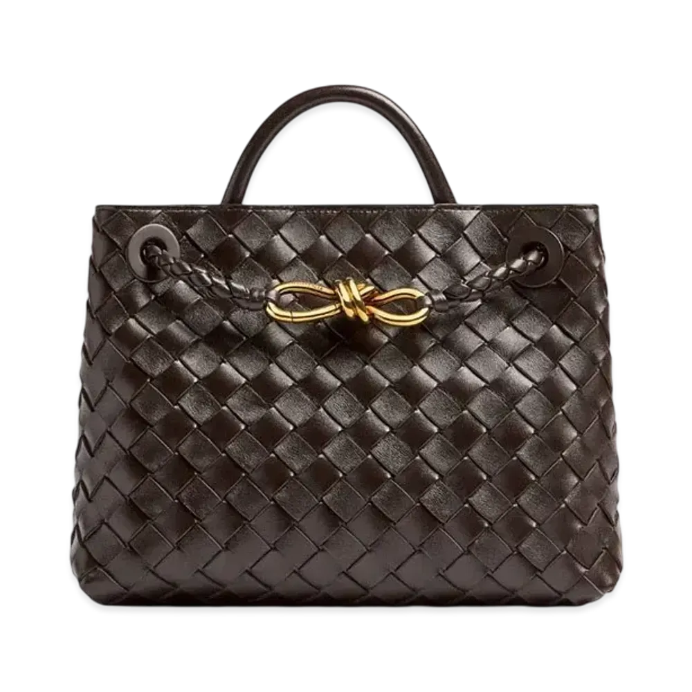 Bottega Veneta Small Andiamo "Fondente"