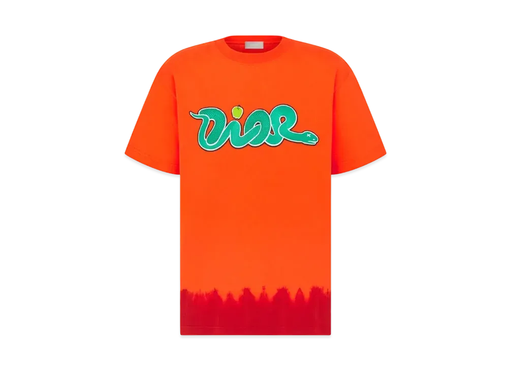 Dior x KAWS T-Shirt Relaxed Fit Cotton Jersey "Orange/Red/Green"