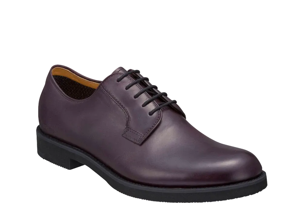 REGAL Plain Toe Calf Leather "Burgundy" 51ALBJ EE