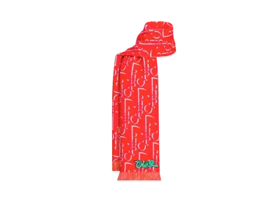 Dior x KAWS Scarf Wool "Vermilion Red/White"