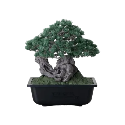 NEIGHBORHOOD SRL x Bandai Spirits . Bonsai Model Kit "Green"