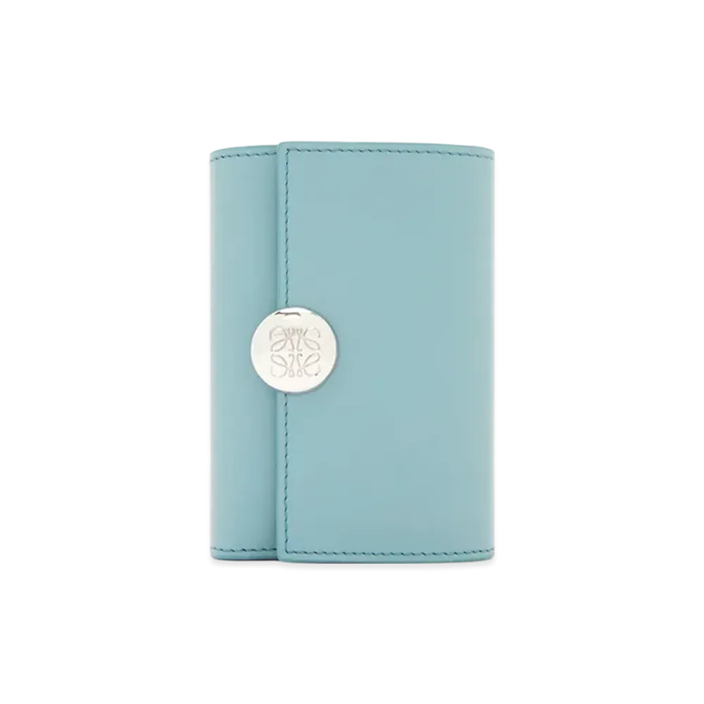 LOEWE Pebble Vertical Wallet Small "Water"