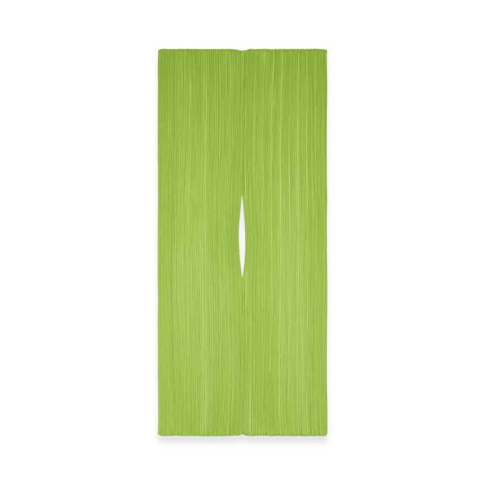 PLEATS PLEASE ISSEY MIYAKE Madame-T August "Yellow Green"