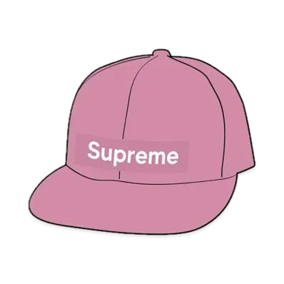 Supreme Windstopper Earflap Box Logo New Era "Pink"