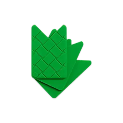 Bottega Veneta Fan Card Case "Parakeet"