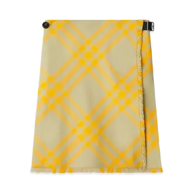 Burberry Women's Embroidered Silk Skirt "Multicolor"