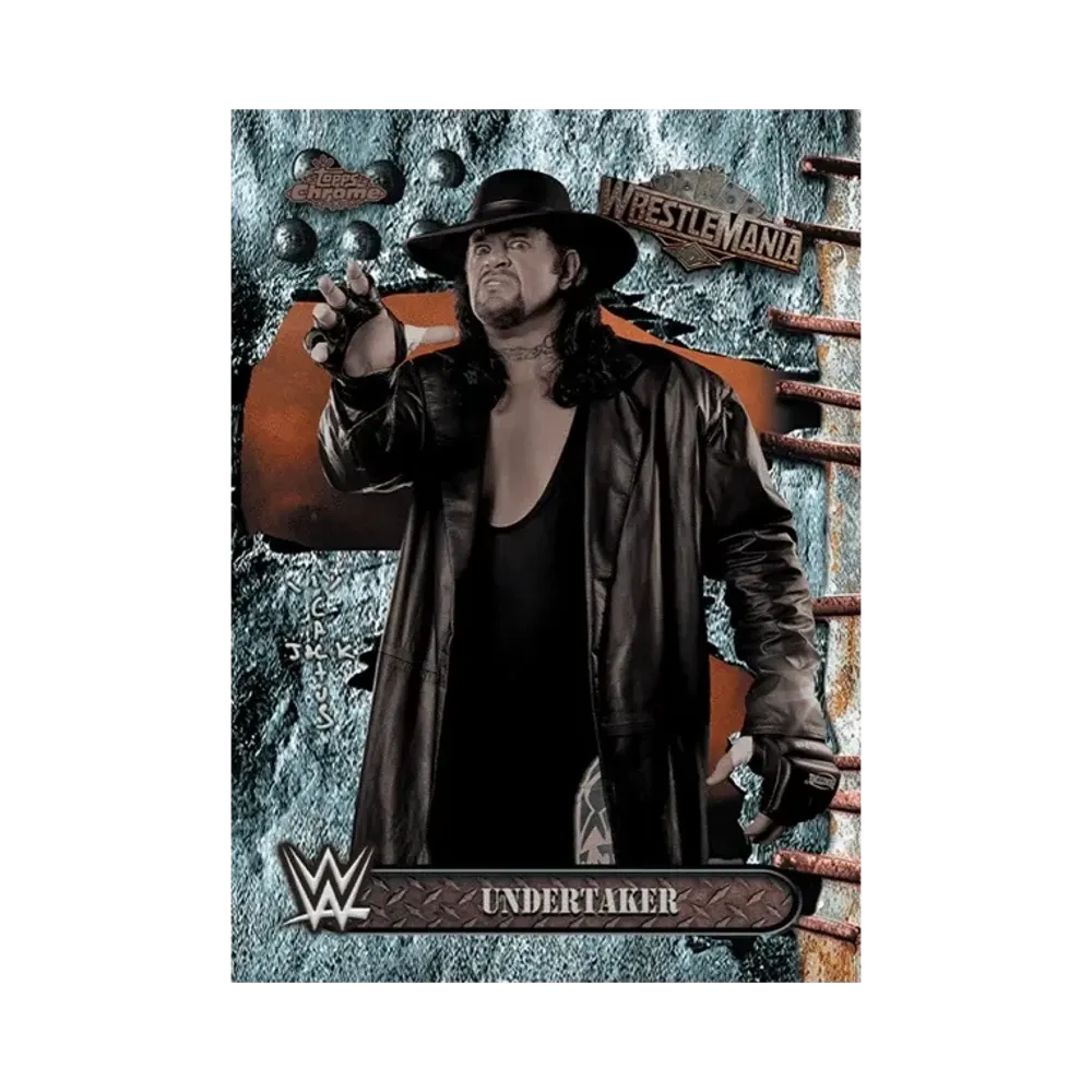 アンダーテイカー (トップスクローム WWE カクタスジャック X レッスルマニア)