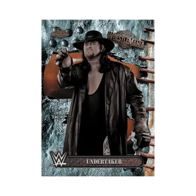 アンダーテイカー (トップスクローム WWE カクタスジャック X レッスルマニア)