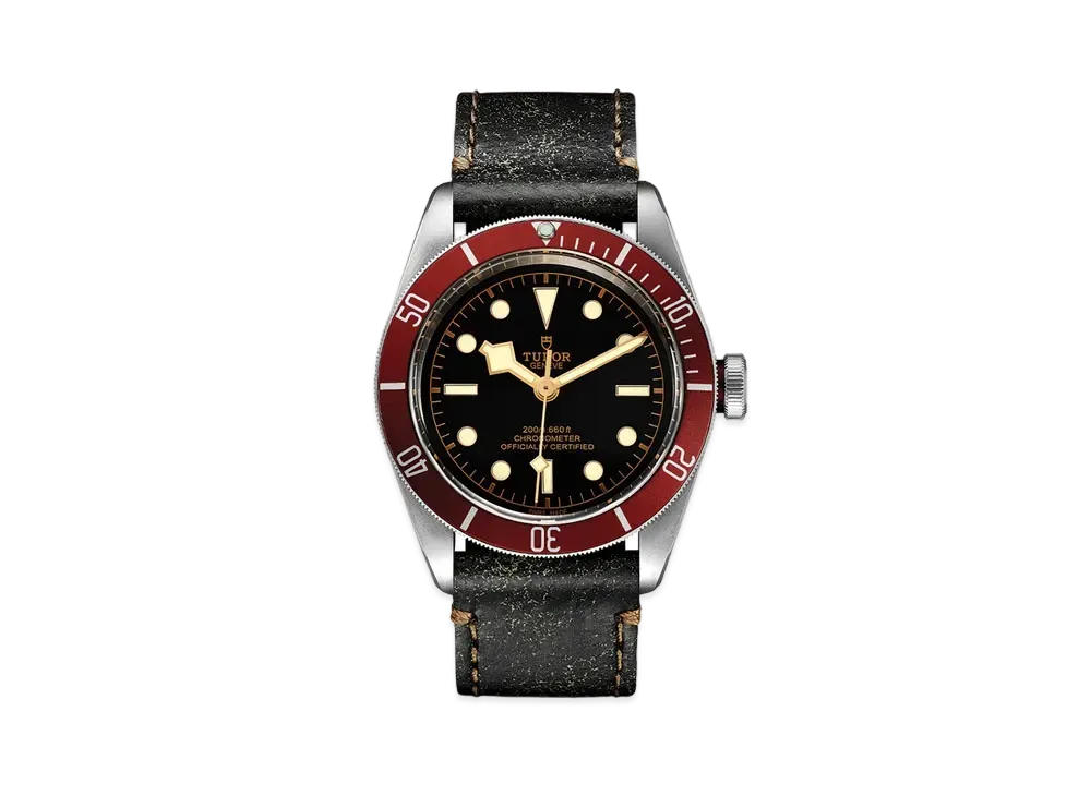 TUDOR BLACK BAY