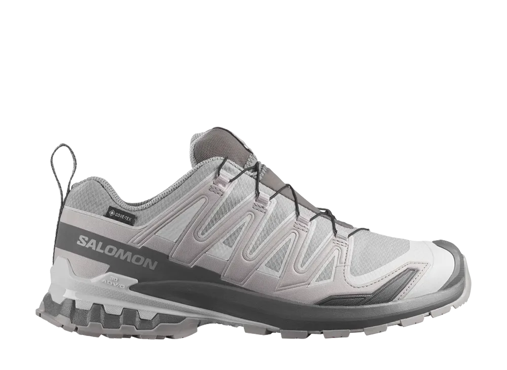 Salomon XA Pro 3D V9 GORE-TEX "Alloy/Castlerock"