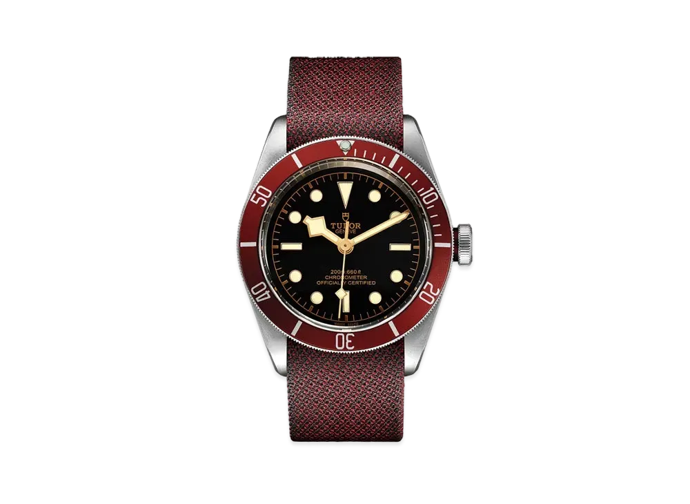 TUDOR BLACK BAY