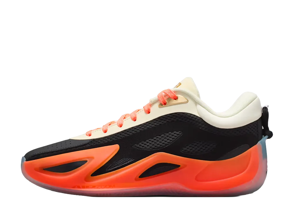 Nike Women's Jordan Heir Series 2 WNBA "Birds of Paradise"