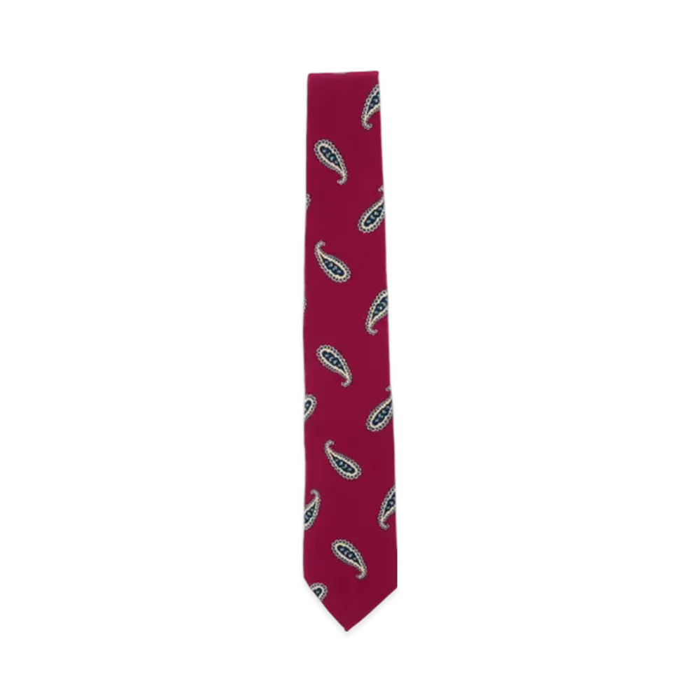 BEAMS Silk Tie Paisley Print "Red"