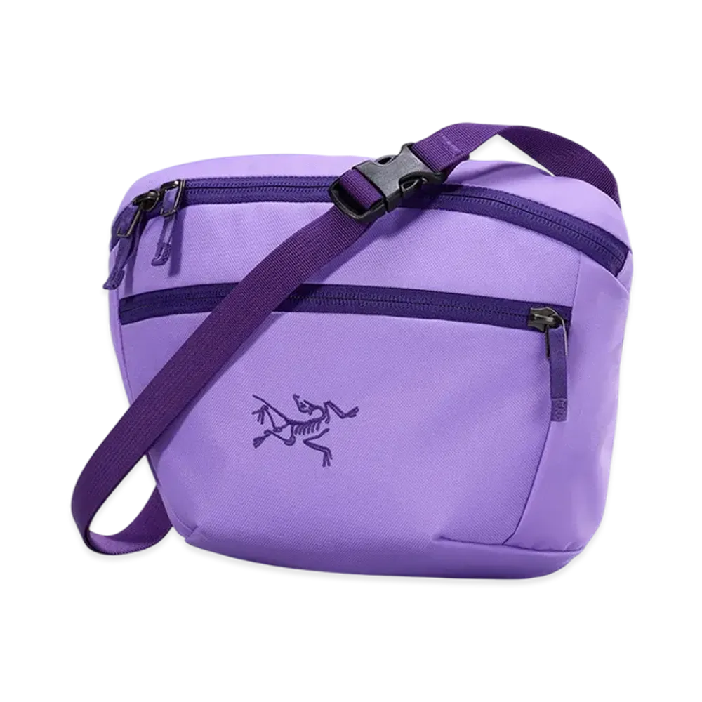 ARC'TERYX BEAMS Exclusive Mantis 2 Waist Pack 