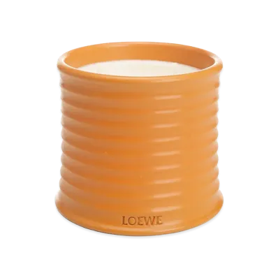 LOEWE Medium Orange Blossom Candle "Orange"