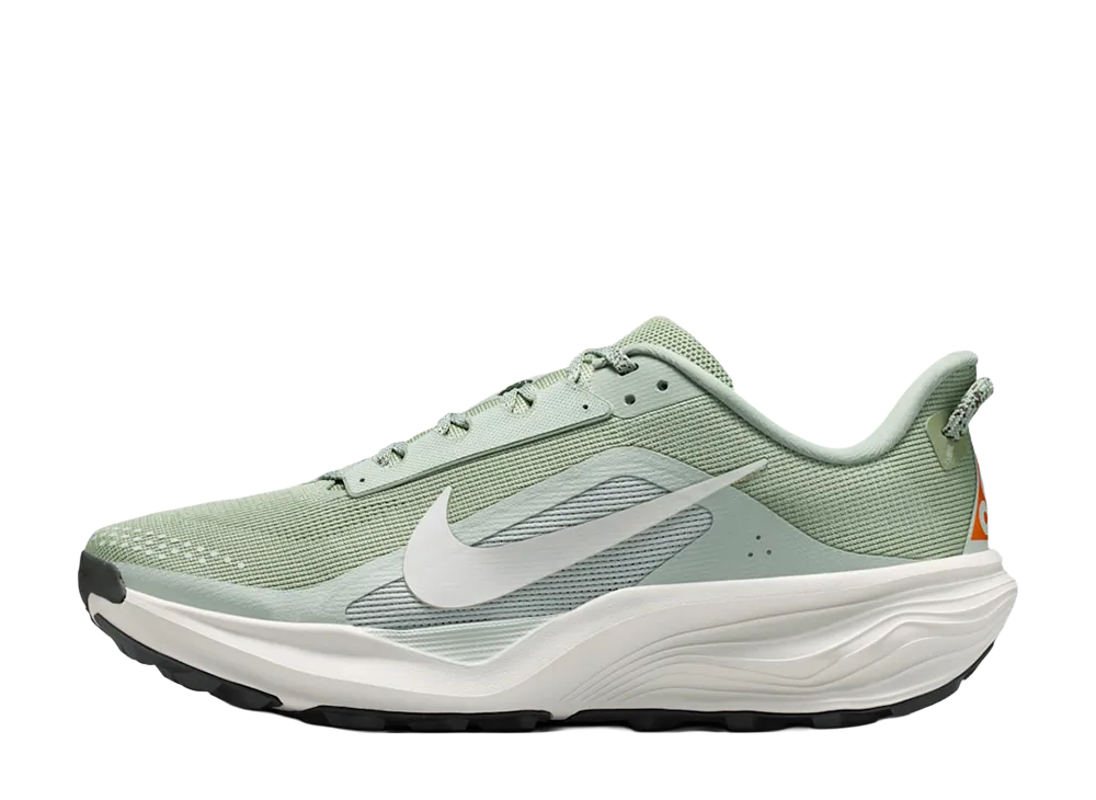 Nike ACG Pegasus Trail "Jade Horizon/Light Silver"