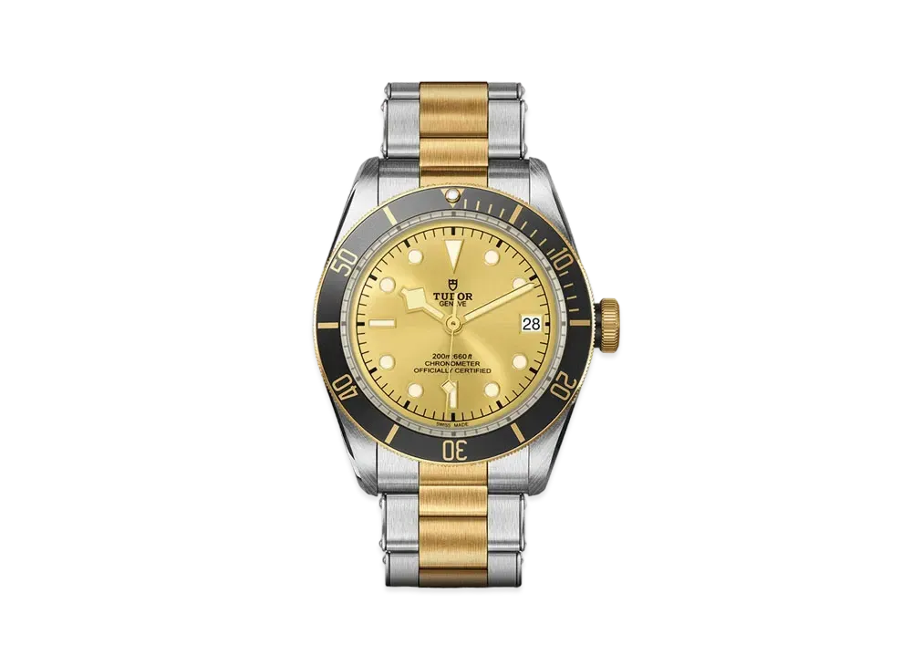 TUDOR BLACK BAY S&G