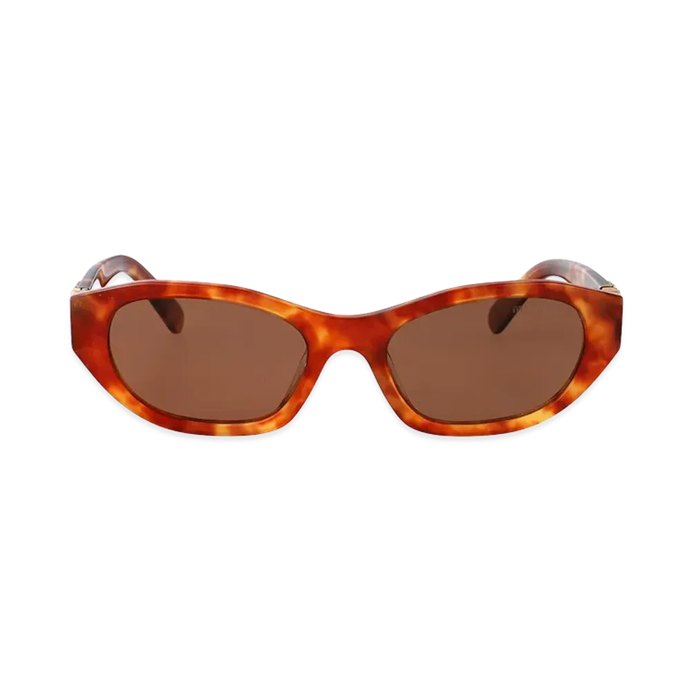 MIU MIU Women's Sunglasses "Brown"