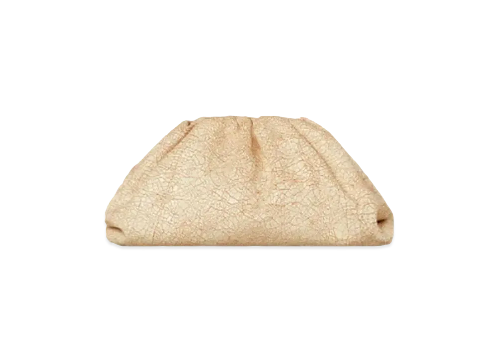 Bottega Veneta Pouch Clutch