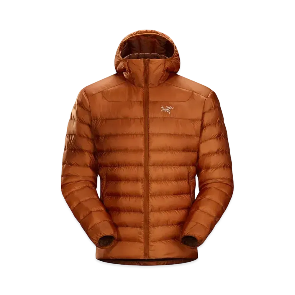 ARC TERYX CERIUM LT HOODIE "Komorebi"