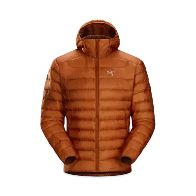 ARC TERYX CERIUM LT HOODIE "Komorebi"