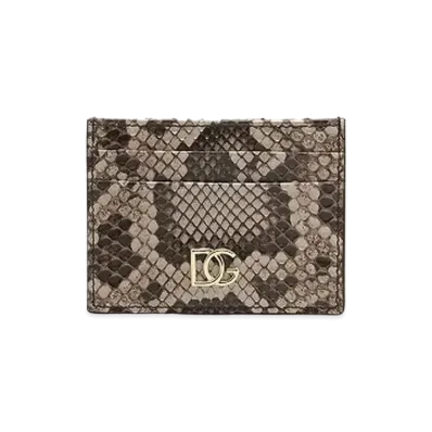 Dolce&Gabbana Credit Card Holder Pythonekin DG Overlapping Logo "Dub Gray"