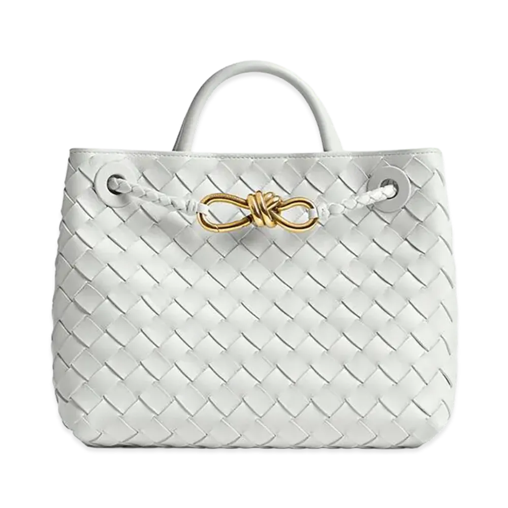 Bottega Veneta Small Andiamo "Hoarfrost"