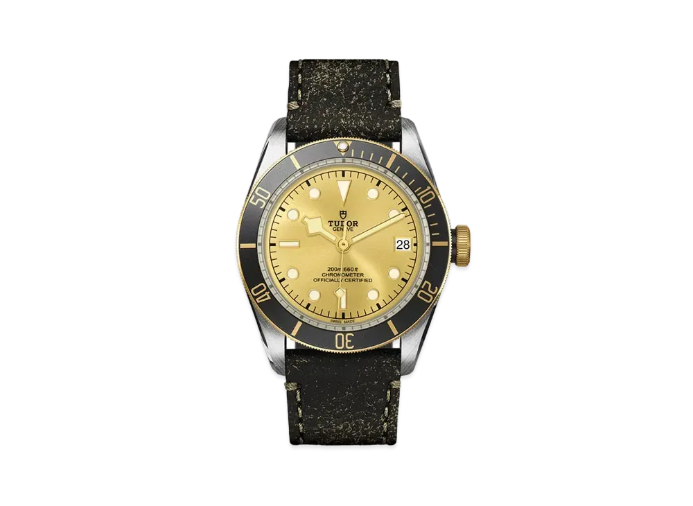 TUDOR BLACK BAY S&G