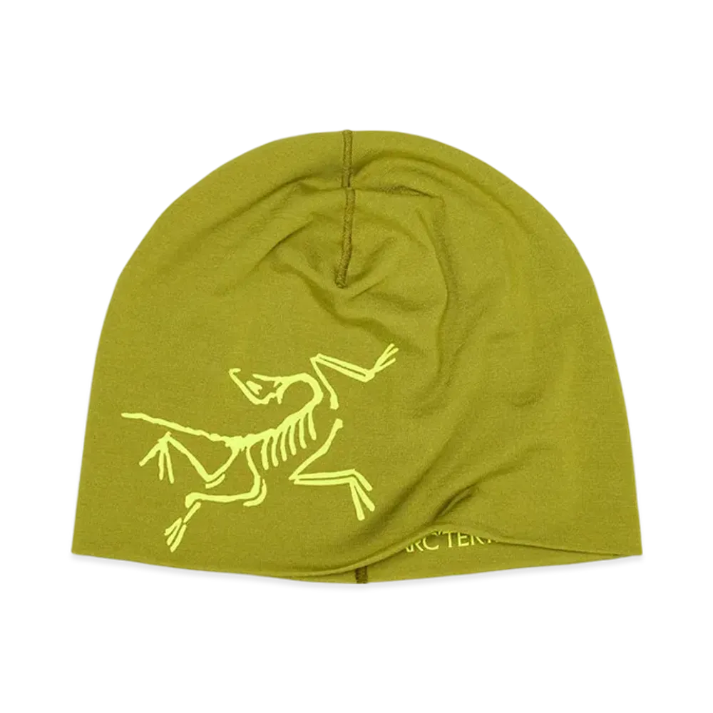 ARC'TERYX Satoro Merino Toque "Olive Moss/Euphoria" X000009936